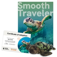 Wild Kingdom Adoption Kit - Sea Turtle - MSTUR