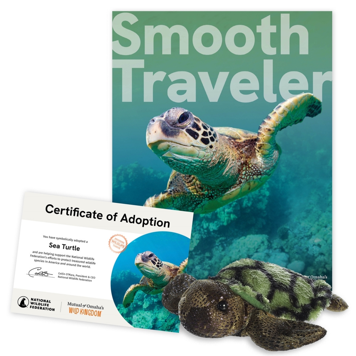 Wild Kingdom Adoption Kit - Sea Turtle