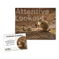 Adopt a Black-Tailed Prairie Dog - PDOG25