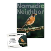 Adopt an American Robin - ROBN25