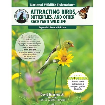 Attracting Birds, Butterflies and Other Backyard Wildlife