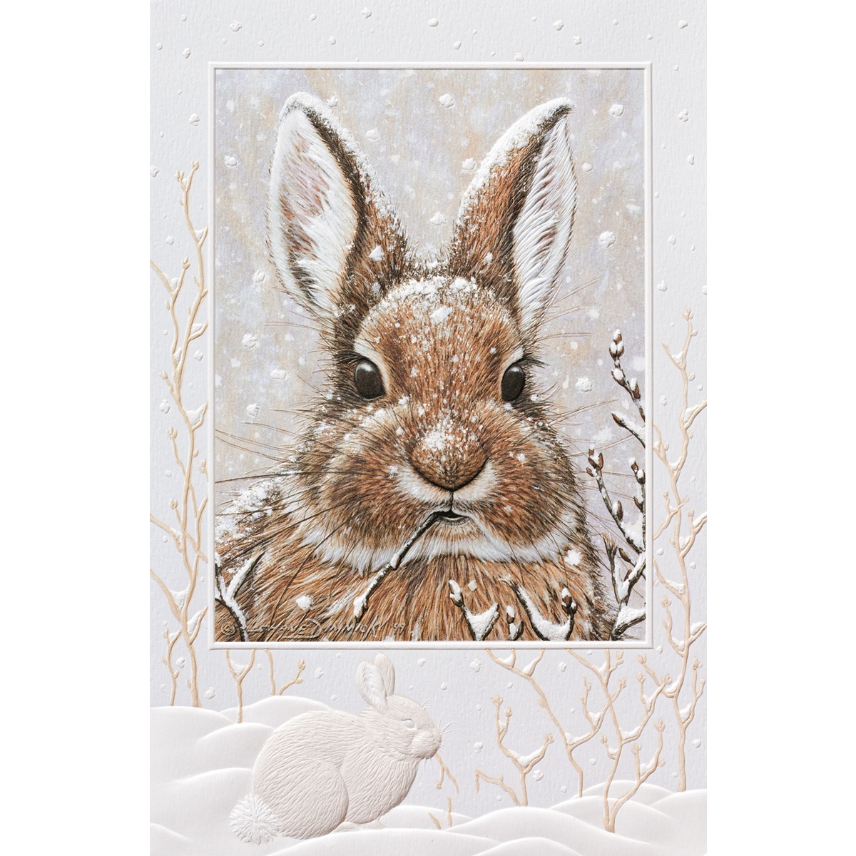 Cool Cottontail Cards
