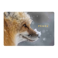 Red Fox in the Snow Cards - NWF11154