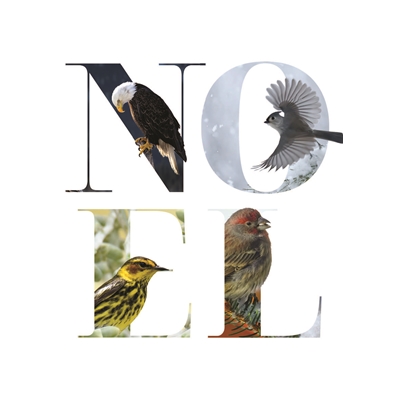 Noel Birds Cards