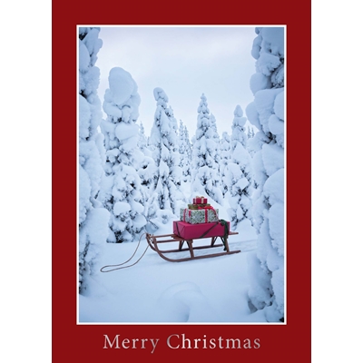 Christmas on a Sled Christmas Cards