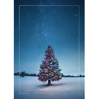 Christmas Tree on a Starry Night Cards
