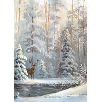 Winter Forest Cards - NWF11163