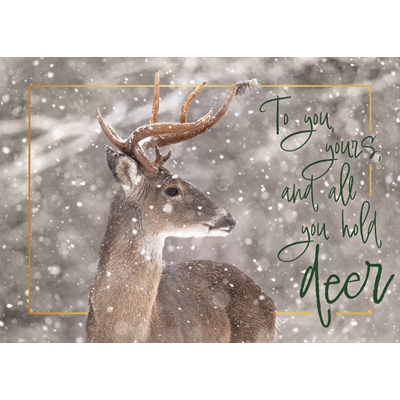 Snowy Deer Holiday Cards