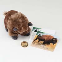 Bison Collector Coin - D2113K