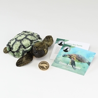Sea Turtle Collector Coin