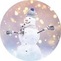 Cozy Snowman Seals - NWF11160S