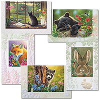 Backyard Birthday Assortment Card Pack - AP9024