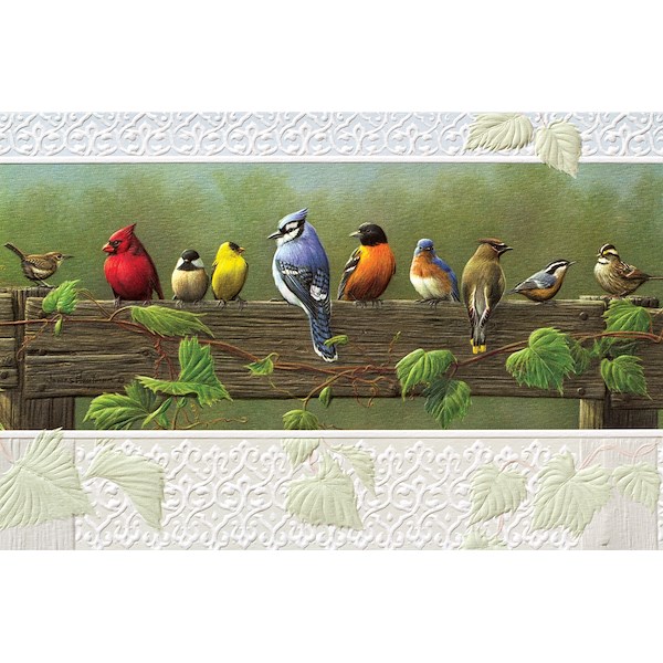 Alternate view:ALT3 of Brilliant Bird Birthday Assortment Card Pack