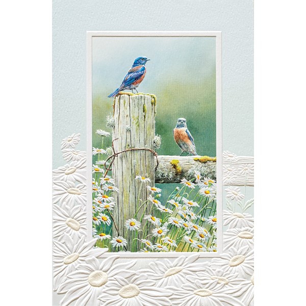 Alternate view:ALT5 of Brilliant Bird Birthday Assortment Card Pack