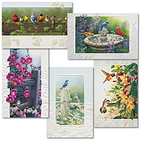 Brilliant Bird Birthday Assortment Card Pack - AP9025