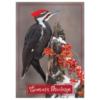 Pileated Woodpecker Card - NWF10423
