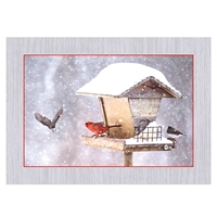 Cardinals on Birdfeeder in Snow Card - NWF10436
