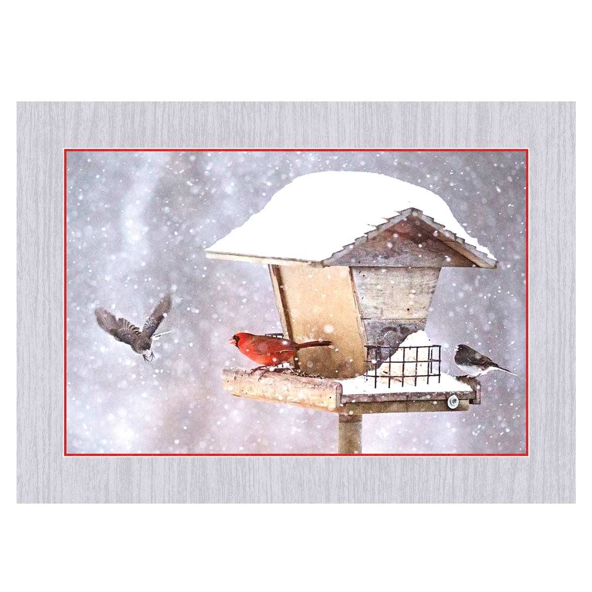 Cardinals on Birdfeeder in Snow Card