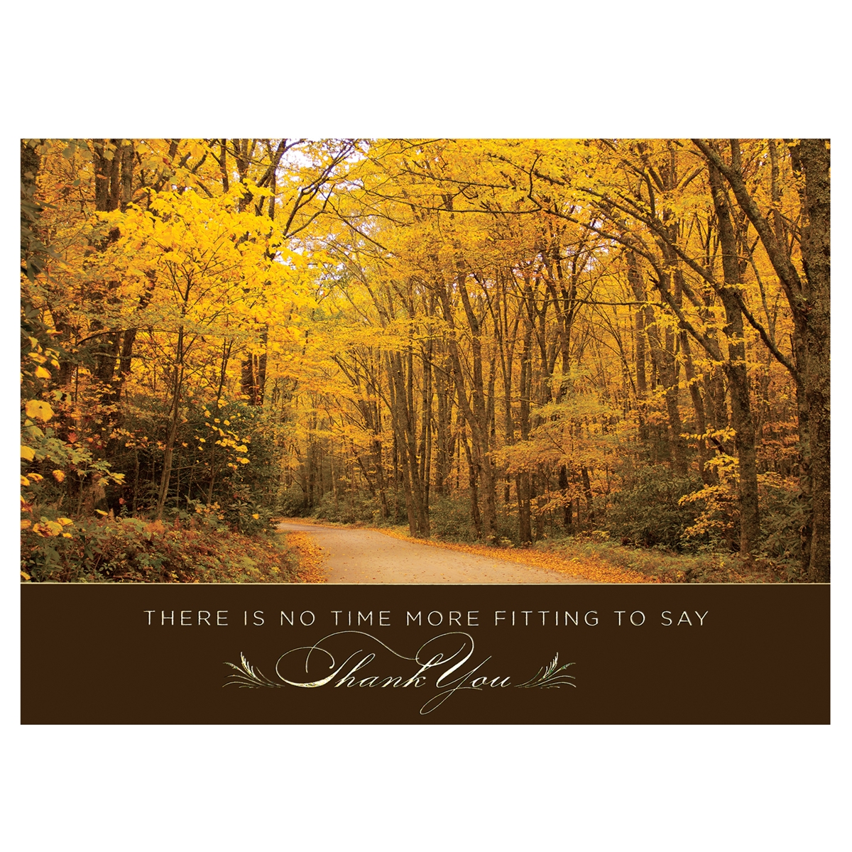 Fall Path Thanksgiving Cards