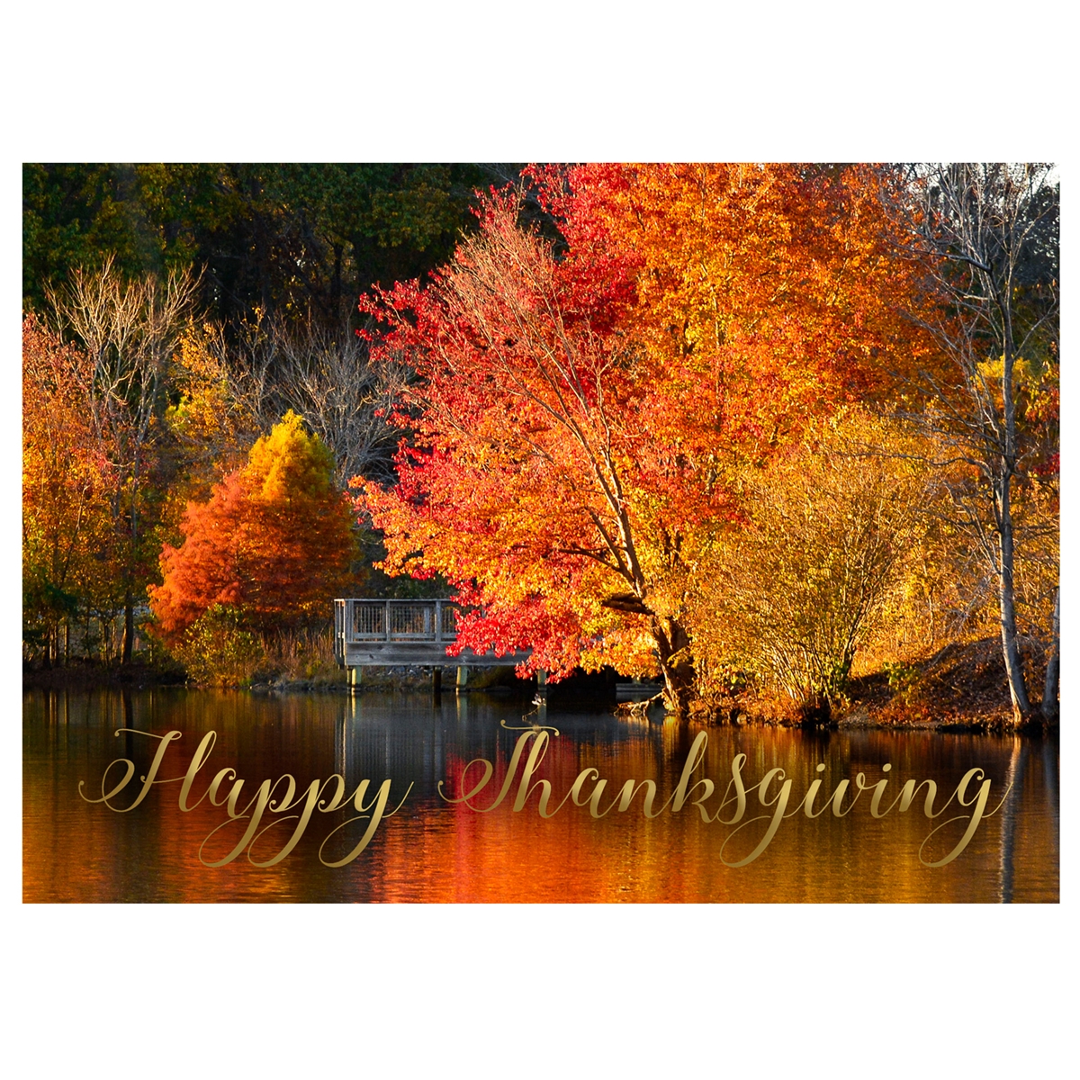Fall Dock Thanksgiving Cards