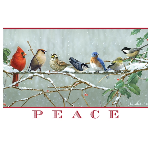 National Wildlife Federation Christmas Cards 