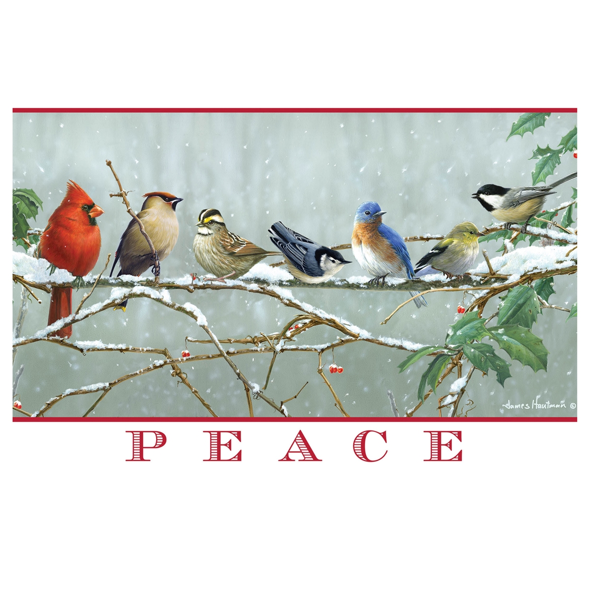 Winter Songbirds Holiday Cards
