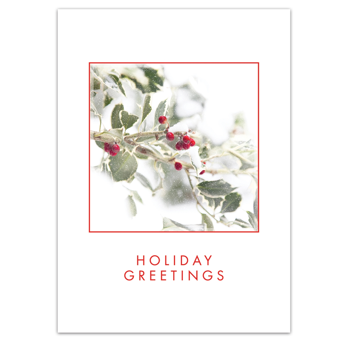Holly Greetings Card