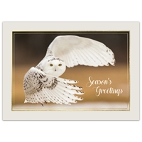 Snowy Owl Chasing Prey Holiday Cards