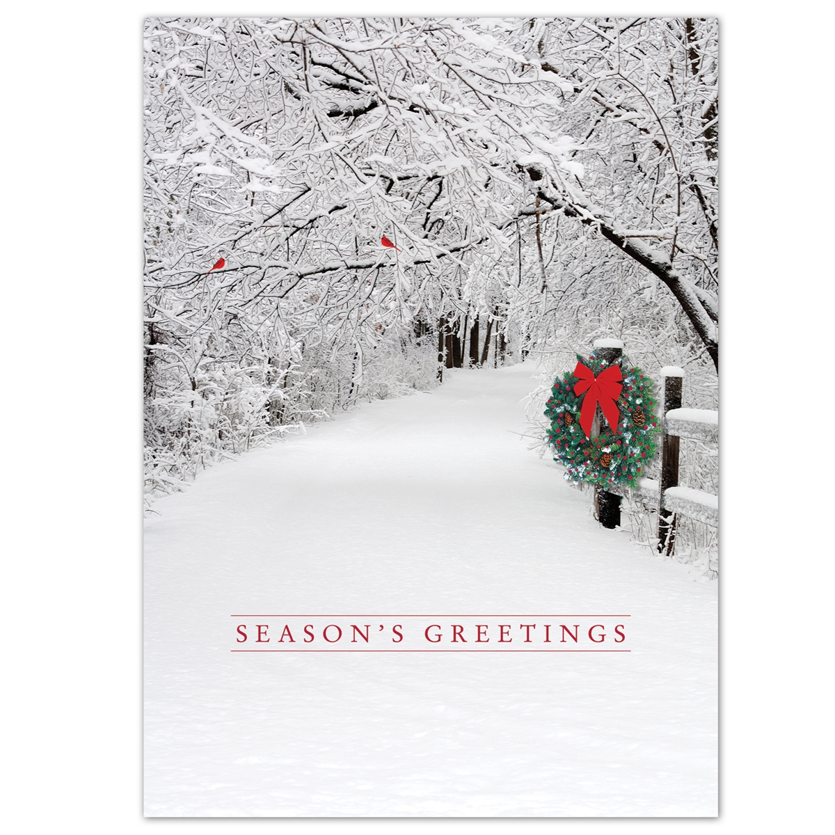 Snowy Lane Holiday Cards