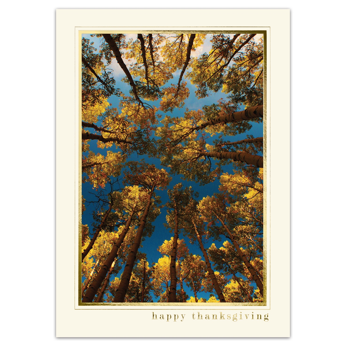 Roof of Aspens Thanksgiving Cards