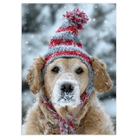Frosty Retriever Holiday Cards - NWF10465-BUNDLE