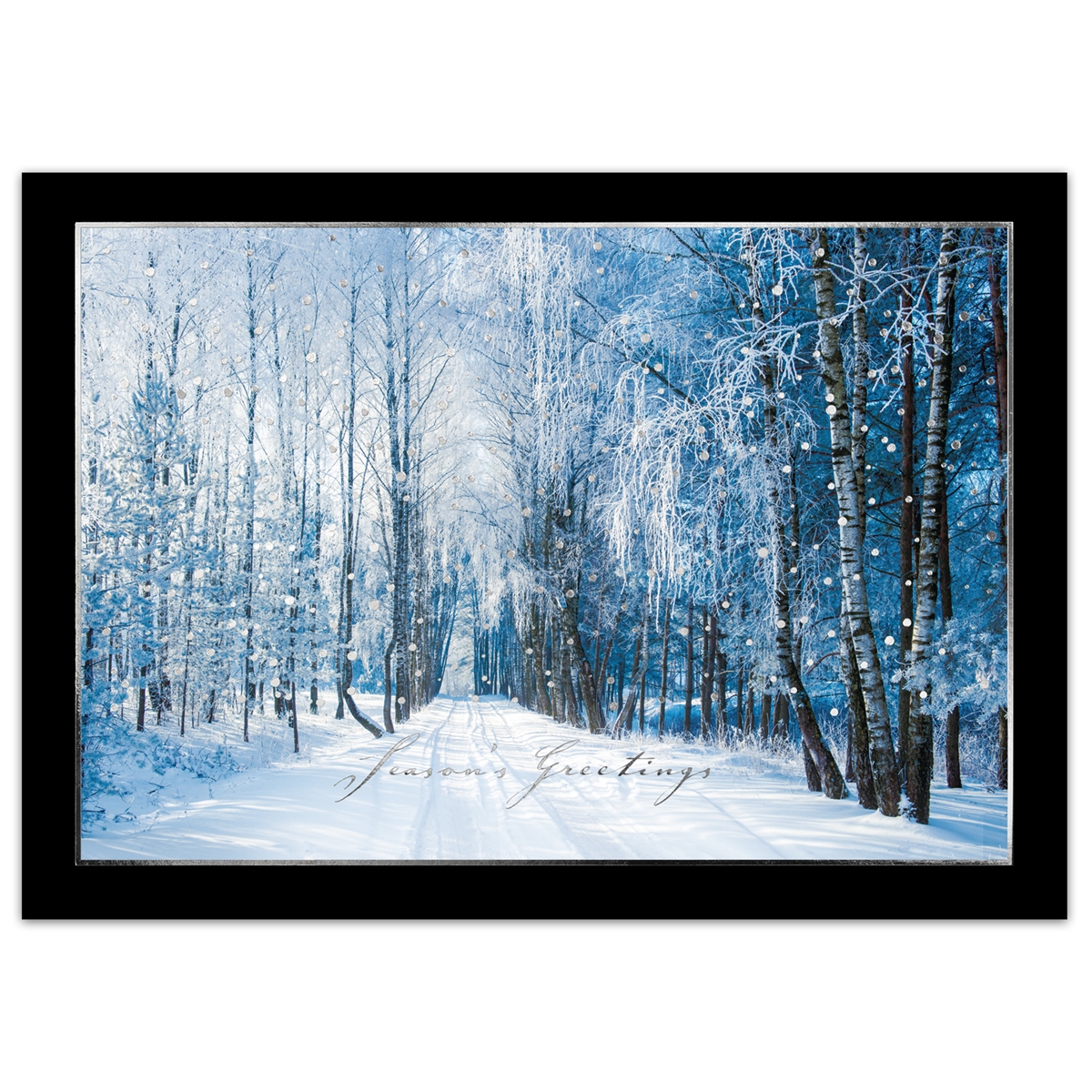 Snowy Tree Lined Road Card