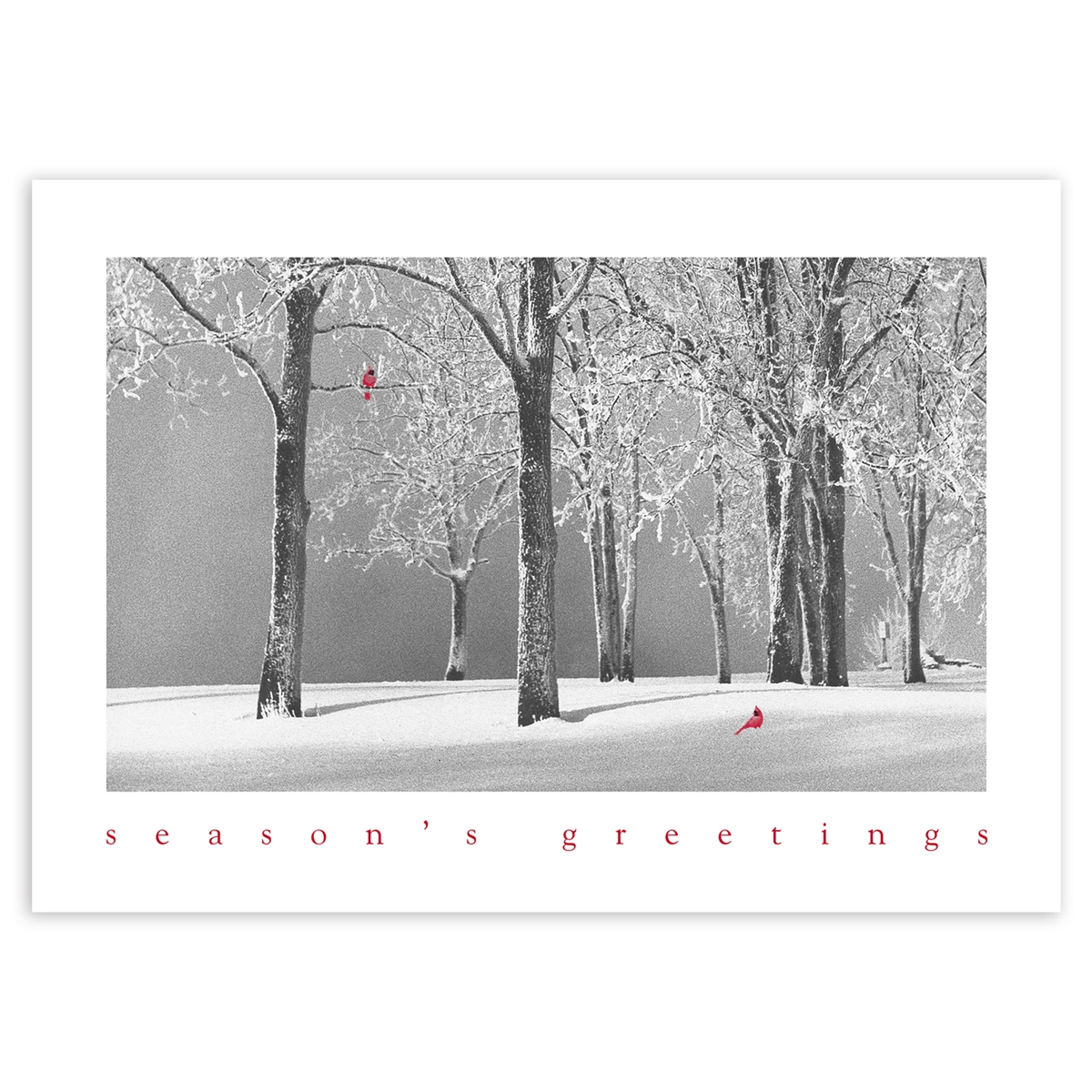 Silver Lake Card