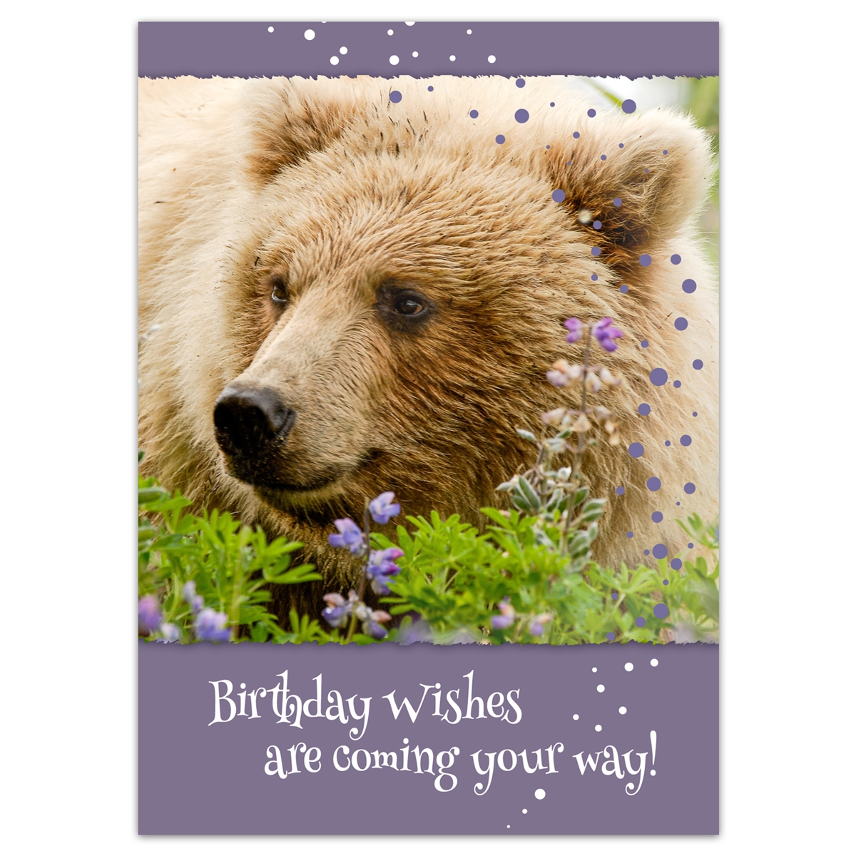 brown bear brown bear birthday shirt