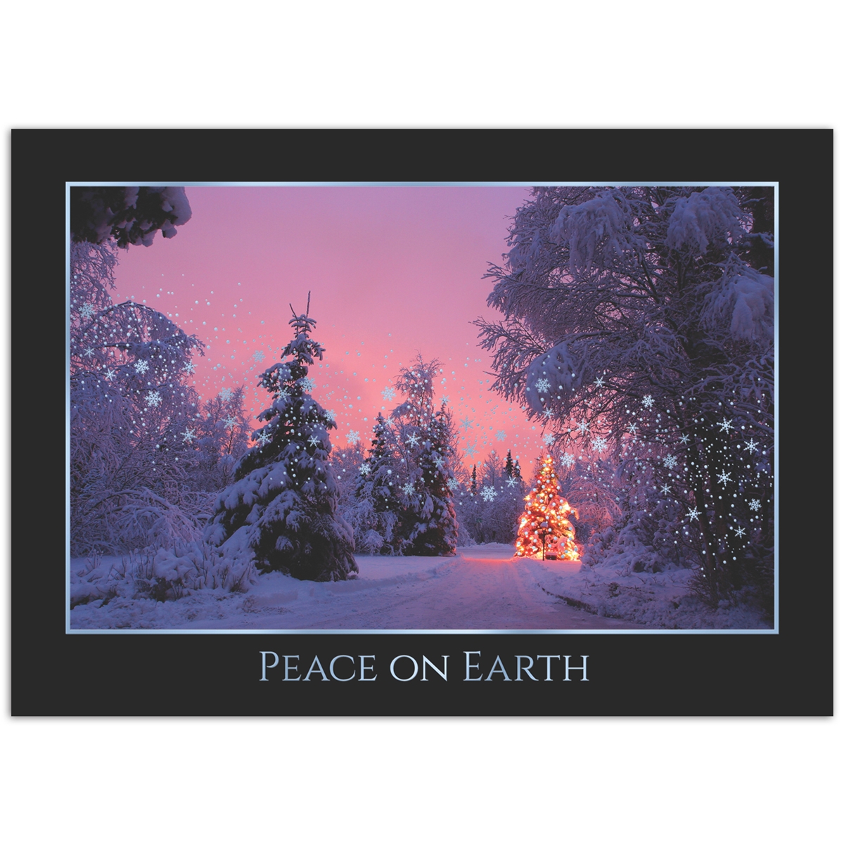 Christmas Lights Holiday Cards