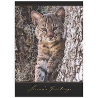 Baby Bobcat Holiday Cards - NWF10490-BUNDLE