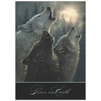 In Harmony Holiday Cards - NWF10498-BUNDLE