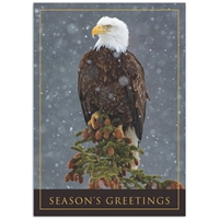 Peaceful Eagle Holiday Cards
