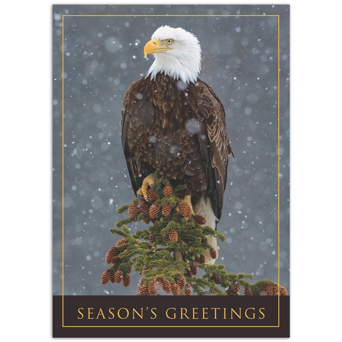 Peaceful Eagle Card