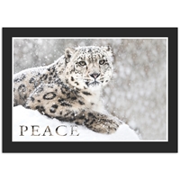Snow Leopard Holiday Cards