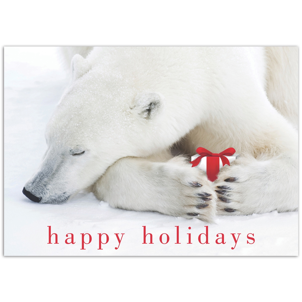 Sleeping Bear Holiday Cards