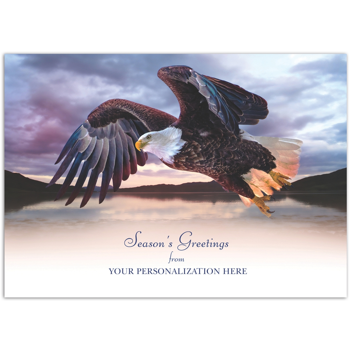American Bald Eagle Card