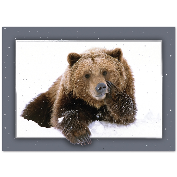 National Wildlife Federation Christmas Cards 