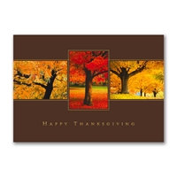 Thanksgiving Trio Holiday Cards