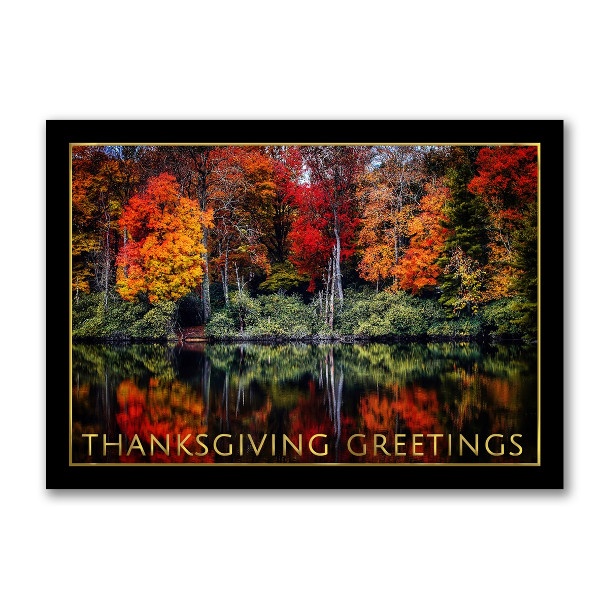 Fall in North Carolina Thanksgiving Cards