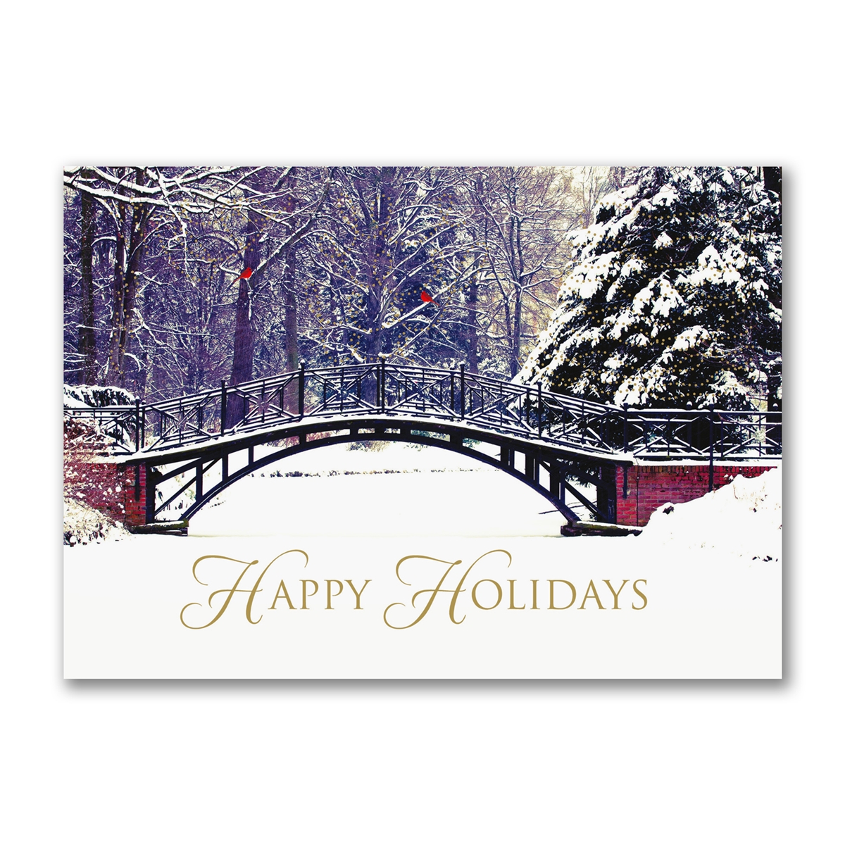 Winter Beauty Holiday Cards