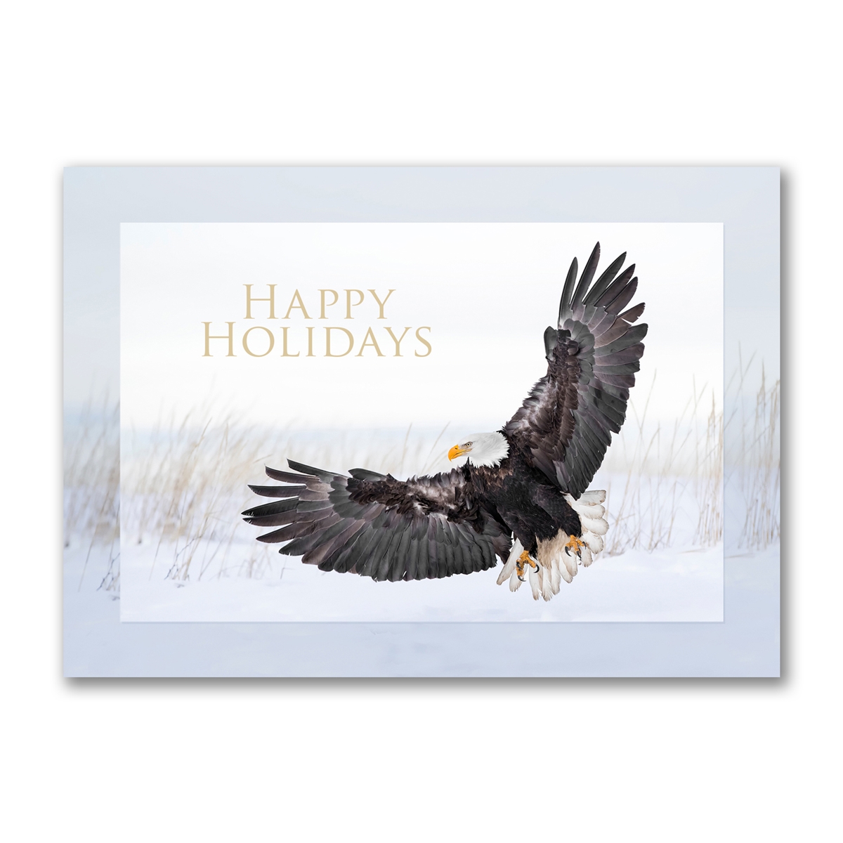 Eagle Landing Holiday Cards