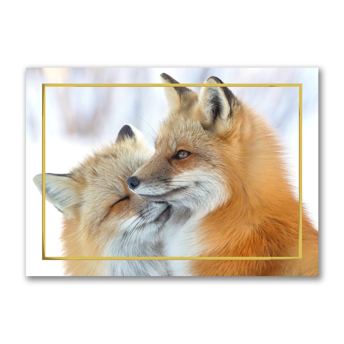 Cuddling Foxes Holiday Cards