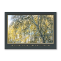 Williamette White Oak Trees for Wildlife Holiday Cards