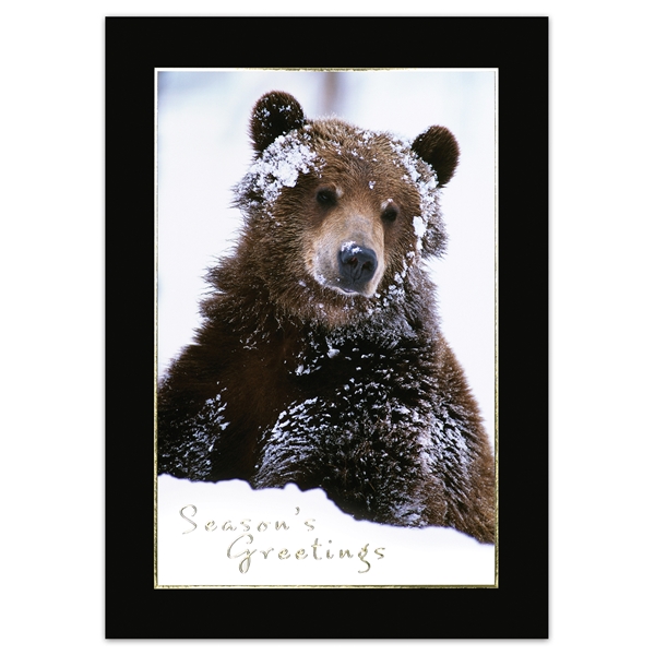 Alternate view: of Snowy Grizzly Card